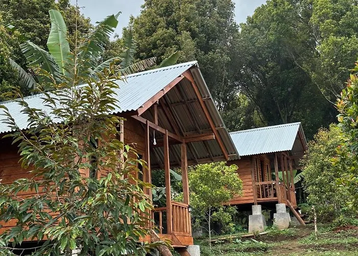 Kuna Glampcamp * Gitgit